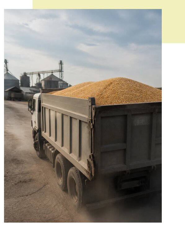 Перевозка сельхозпродукции навалом в Оренбург по цене от 3051 р. | Агросервис-Рнб